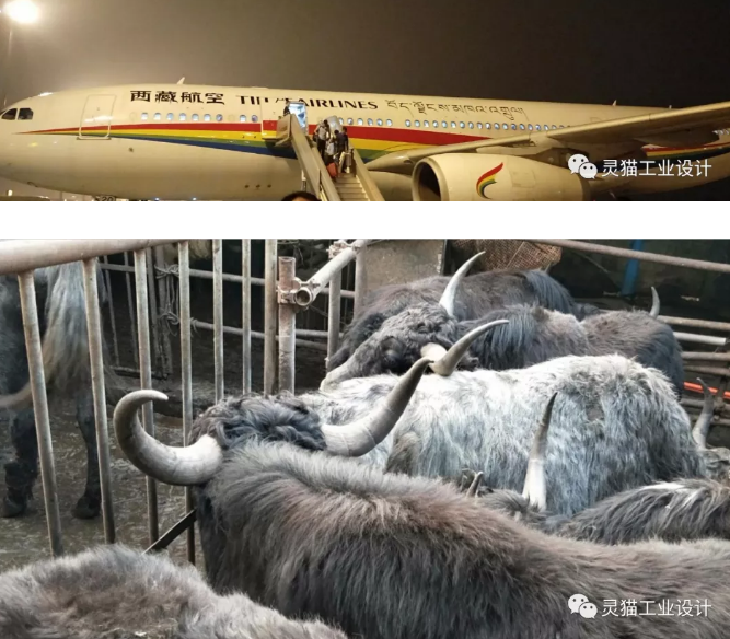 设计调研及相关团队实地考核