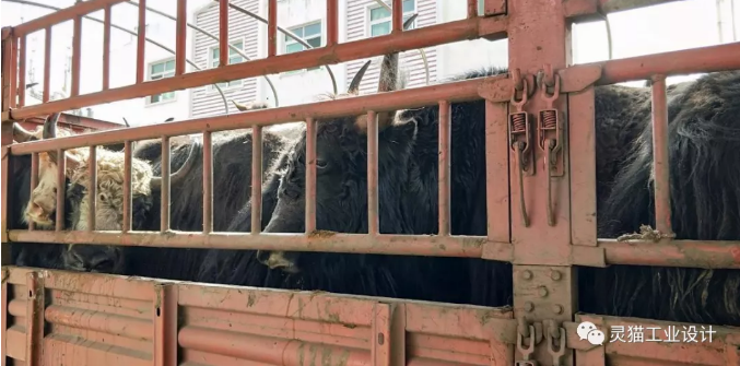  获奖设计师心得体会：